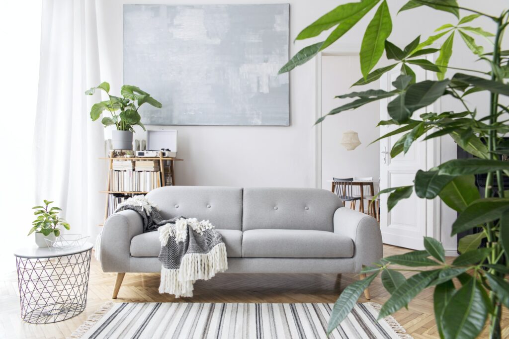 Modern scandianvian living room interior with design sofa.